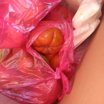 Çürük Ve Yanıltıcı Ürün Gönderimi