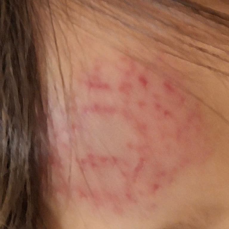 Milli Eğitim Bakanlığı Okulda Artan Şiddet Ve Akran Zorbalığına Çözüm Arayışı