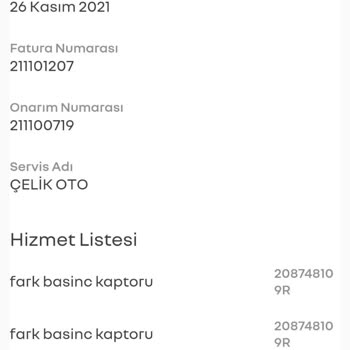 Renault Clio 5: Bitmeyen Arızalar Ve Müşteri Mağduriyeti