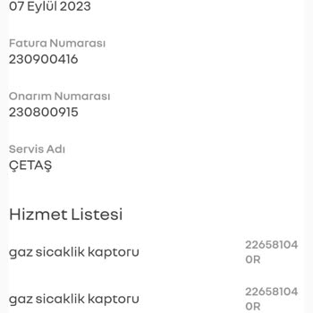 Renault Clio 5: Bitmeyen Arızalar Ve Müşteri Mağduriyeti