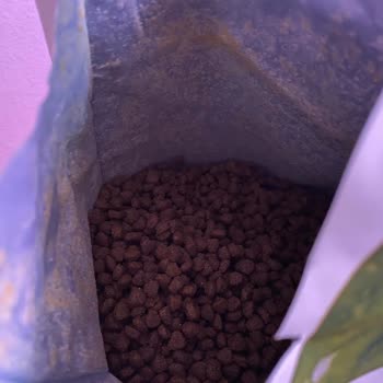 Nemli Ve Kötü Kokulu Mama Sorunu