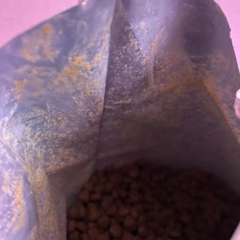 Nemli Ve Kötü Kokulu Mama Sorunu