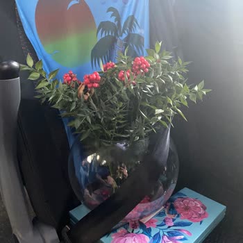 Yanıltıcı Çiçek Siparişi Deneyimi