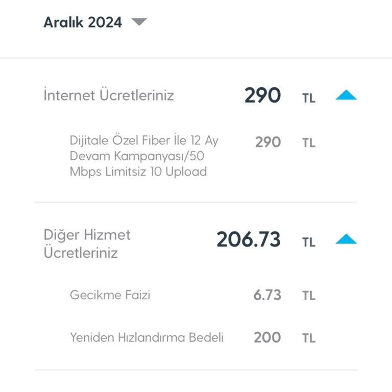 Gecikme Faizi Ve Hızlandırma Ücreti Şoku