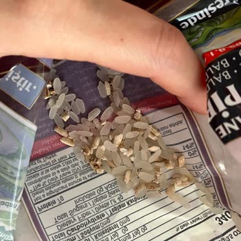 Bozuk Pirinç Kokusu Ve Kötü Görüntü Sorunu