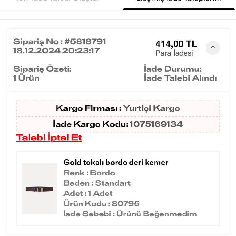 İade Sürecindeki Gecikme Ve Müşteri Memnuniyetsizliği