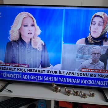 Toshiba Ve Vestel TV'lerde Tekrarlayan Ekran Sorunları