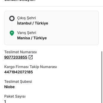 Teslim Edilmeyen Halılar Ve İade Sorunu