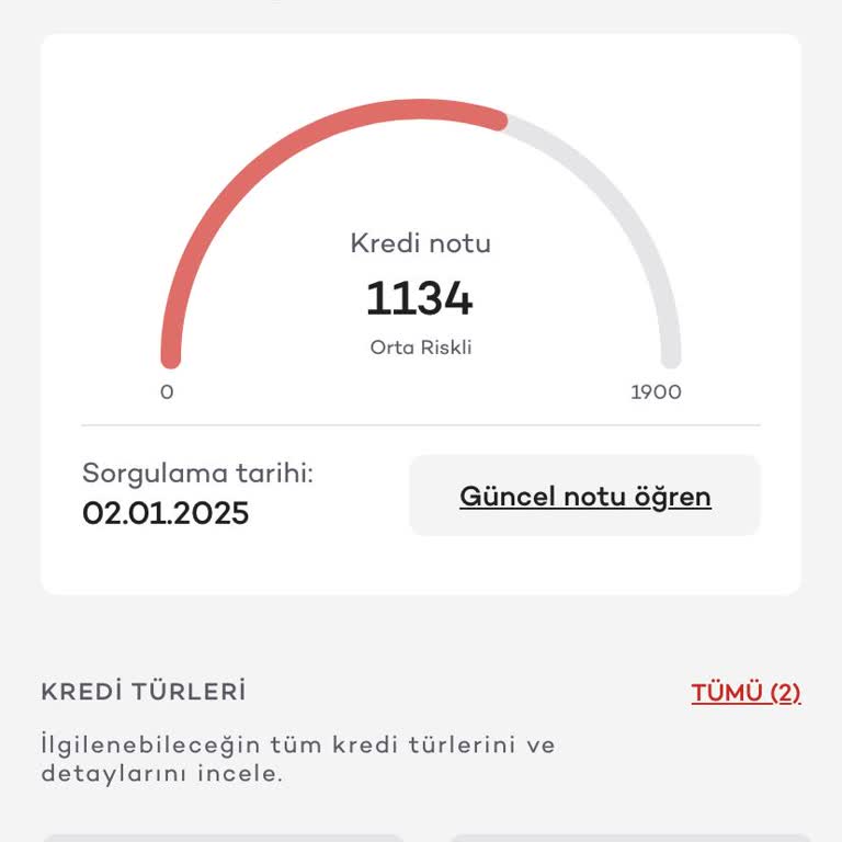 Kredi Notum Yüksek Ama Orta Riskli Görünüyorum