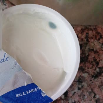 Sek Quark Yoğurt: Son Kullanma Tarihine Rağmen Küflenme Sorunu