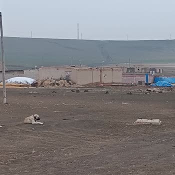 Baz İstasyonu Sorunu Ve İletişim Kesintisi