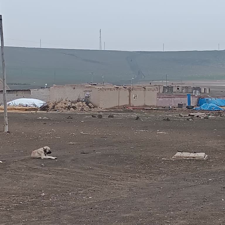 Baz İstasyonu Sorunu Nedeniyle İletişim Kesintisi