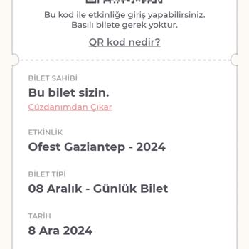 İptal Edilen Konserin Bilet İadesi Sorunu