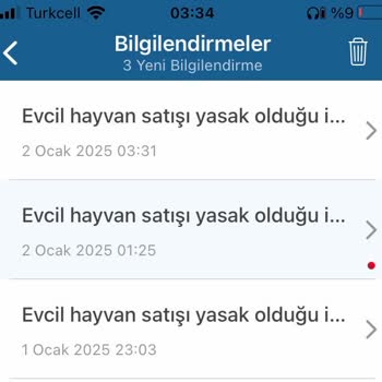 Ücretsiz Sahiplendirme İlanında Kimlik Doğrulama Krizi