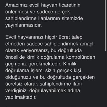 Ücretsiz Sahiplendirme İlanında Kimlik Doğrulama Krizi