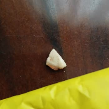 Vegan Meyveli Barda Tehlikeli Sert Kabuk Sorunu