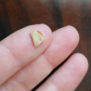 Vegan Meyveli Barda Tehlikeli Sert Kabuk Sorunu