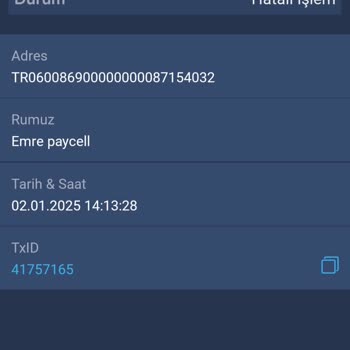 Bitexen'de Para Çekim Sorunu Ve Güven Kaybı