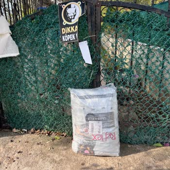 Sürat Kargo'nun Yanlış Teslimat Sorunu