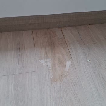 Yeni Dairede Su Sızıntısı Ve Ulaşılmaz Müteahhit Sorunu