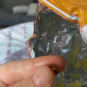 Lays Paketinden Kurt Çıktı: Üretim İhmali Mi?
