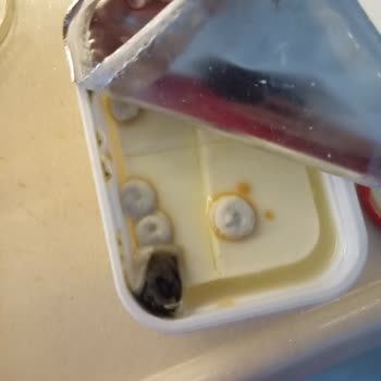 Migros Süzme Peynirde Küf Şoku