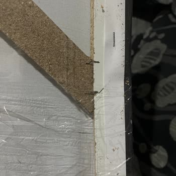 Çiçek Sepeti'nde Hatalı Ürün Ve Yetersiz Çözüm