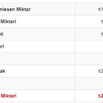 Varlık Yönetim Şirketinin Borç Yapılandırma Sorunları