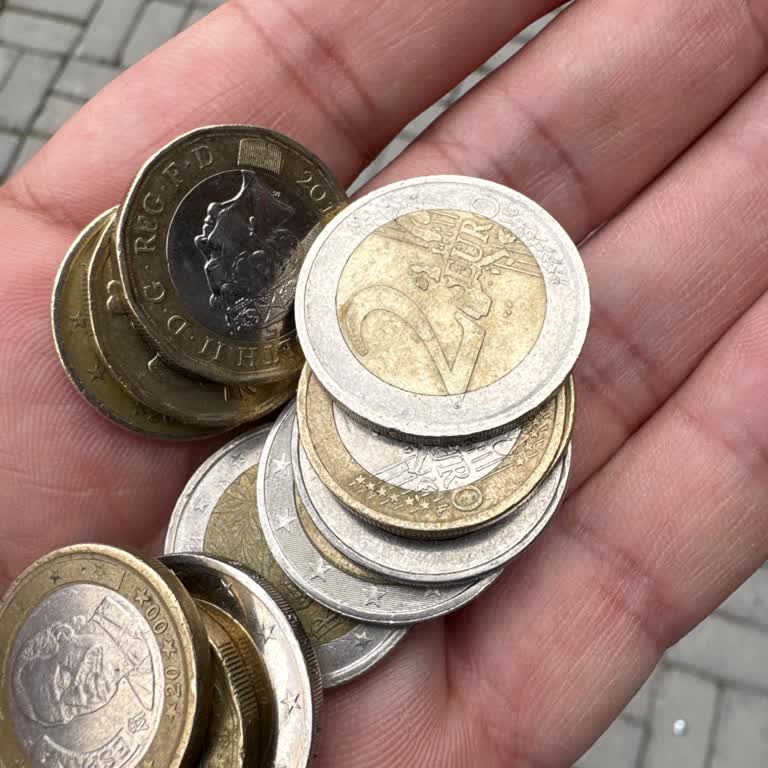 Ziraat Bankası'nda Madeni Euro Sorunu