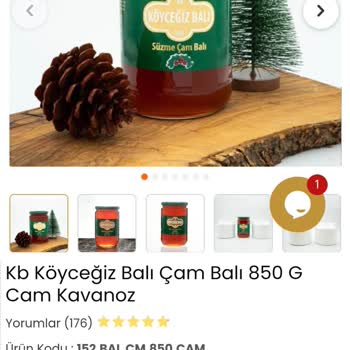 Köyceğiz Balı Fahiş Fiyatla Karşılaştım: Hepsiburada'da Bal Şoku!