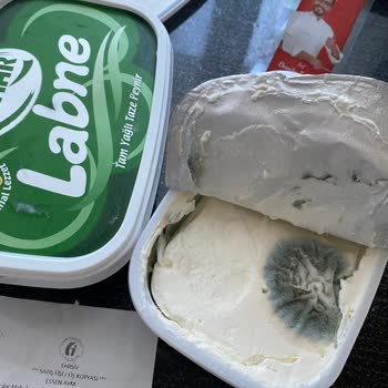 Pınar Et Ve Süt Küflü Labne Deneyimi: Market Kontrolleri Yetersiz Mi?