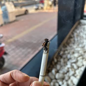 Sigara Kalitesindeki Düşüş Ve Müşteri Memnuniyetsizliği
