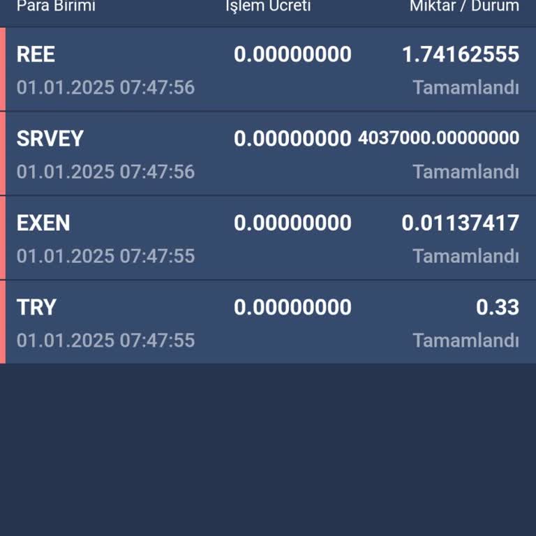 Bitexen Borsasında Exen Coinlerim Kayboldu