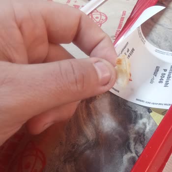 Hijyen Sorunu: Pizzada Kıl Çıkması