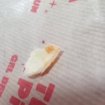 Hijyen Sorunu: Pizzada Kıl Çıkması