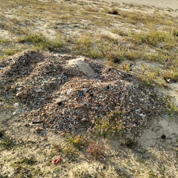 Kuşadası Davutlar'da Çevre Sorunları