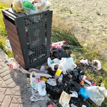 Kuşadası Davutlar'da Çevre Sorunları