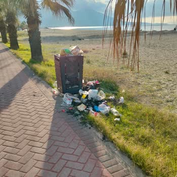 Kuşadası Davutlar'da Çevre Sorunları