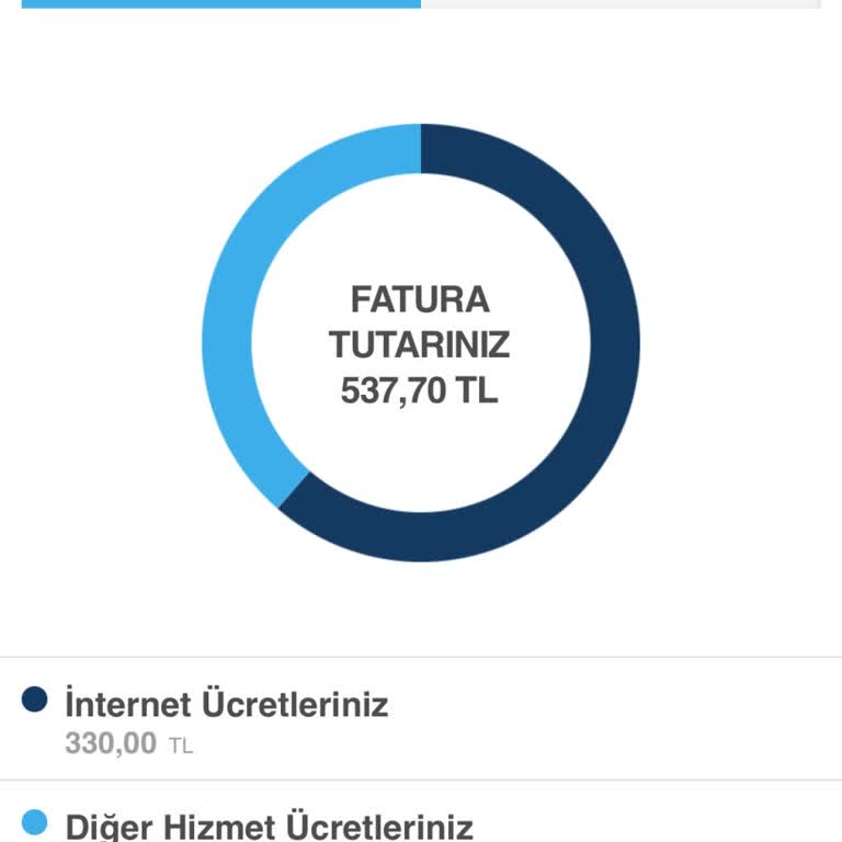 Beklenmedik Diğer Hizmet Ücreti Hakkında Bilgi Talebi