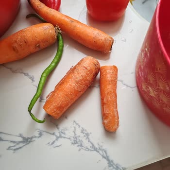 Siemens Buzdolabı: Müşteri Deneyimi Hayal Kırıklığı!