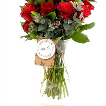 Taze Çiçek'ten Hayal Kırıklığı: Yanlış Adres, Bozuk Ürün Ve İletişim Sorunları!