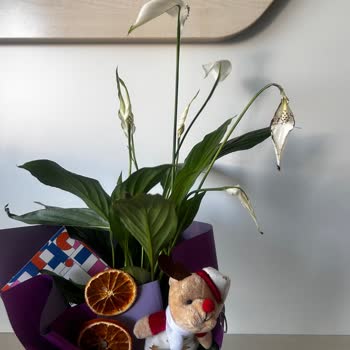 Çiçek Siparişim Çöp Olarak Teslim Edildi