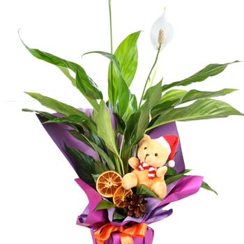 Çiçek Siparişim Çöp Olarak Teslim Edildi