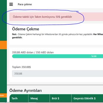 Surveyjobin.com Ödeme Yapmıyor