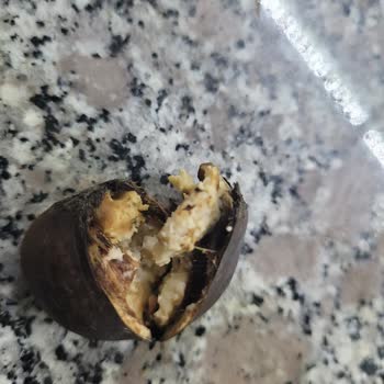 Migros'tan Aldığım Kestaneler Küflü Ve Bozuk Çıktı