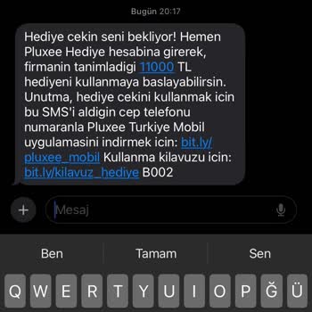 Pluxee Kart Bakiyesi Sorunu