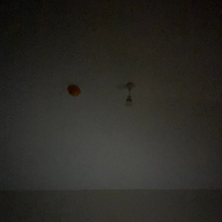 CK Boğaziçi Elektrik'in Hizmet Kesintisi Ve Müşteri İlgisizliği