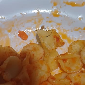 Bulaşık Teli Skandalı: Öğrenci Sağlığı Tehlikede!