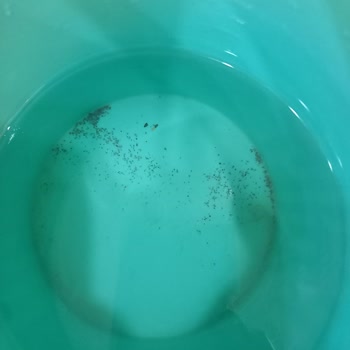 Bosch Kombi Sorunları: Müşteri Hizmetleri Ve Servis Hayal Kırıklığı