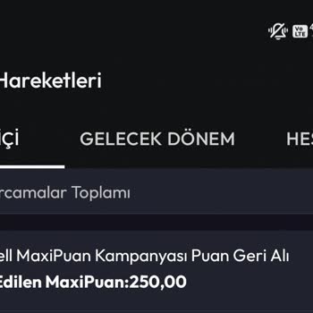 MaxiPuan Kullanım Sorunu Ve Müşteri Hizmetleri Deneyimi